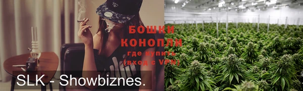 Альфа ПВП Богородск
