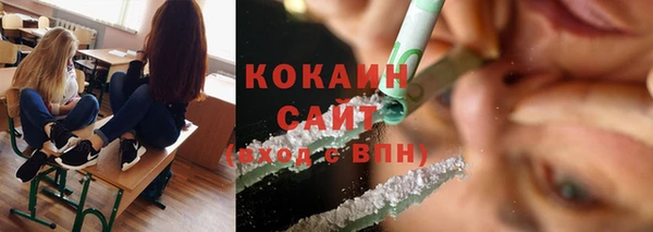 стафф Богданович