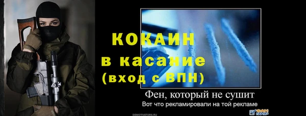 стафф Богданович
