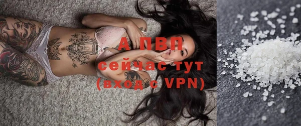 Альфа ПВП Богородск