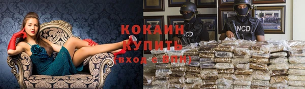 Альфа ПВП Богородск